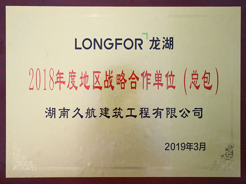 龍湖集團2018年度地區戰略合作單位